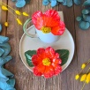 Büyük Kırmızı Çiçekli Kahve Mug Set