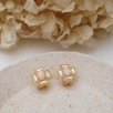 Silver Earrings with Mother of Pearl and Coral