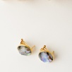 Silver Earrings with Mother of Pearl