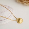 Silver Necklace with Pearl and Mussel