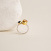 Silver Ring with Citrine and Kyanite Stones