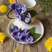 Coffee Mug Set with Hydrange Flower