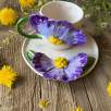 Büyük Mor Çiçek Kahve Mug Set