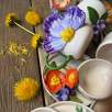 Büyük Mor Çiçek Kahve Mug Set