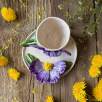 Büyük Mor Çiçek Kahve Mug Set