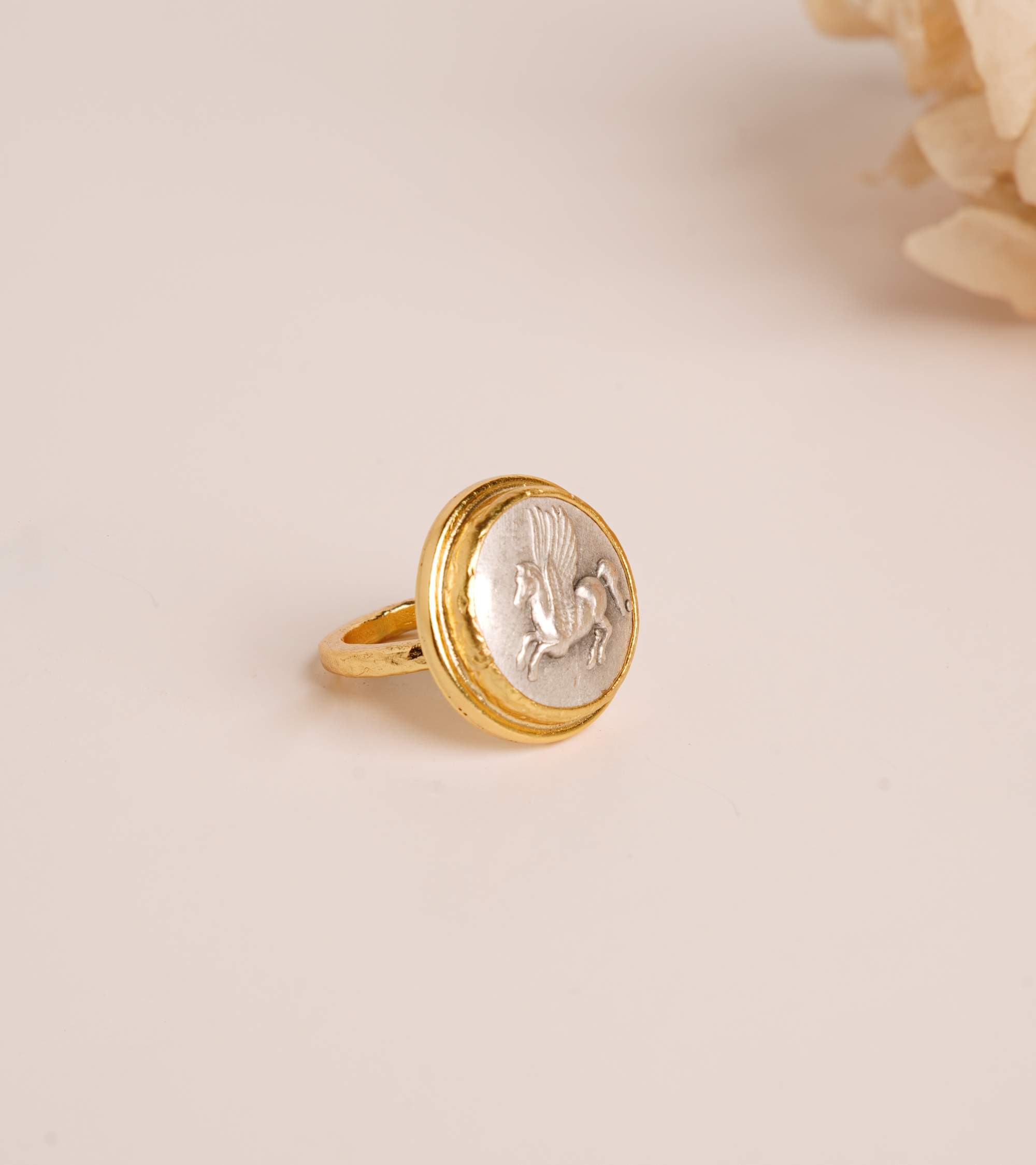 Pegasus Para Tasarım Pirinç Yüzük